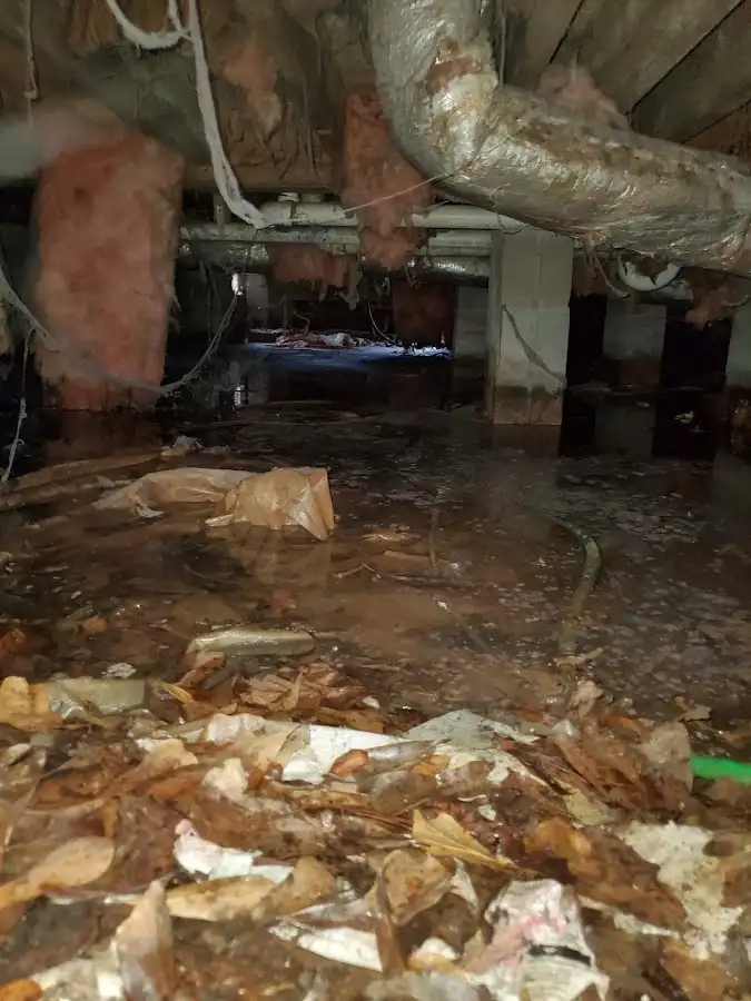 Crawl space flood assessment for Leak Detection & Repair in Marion