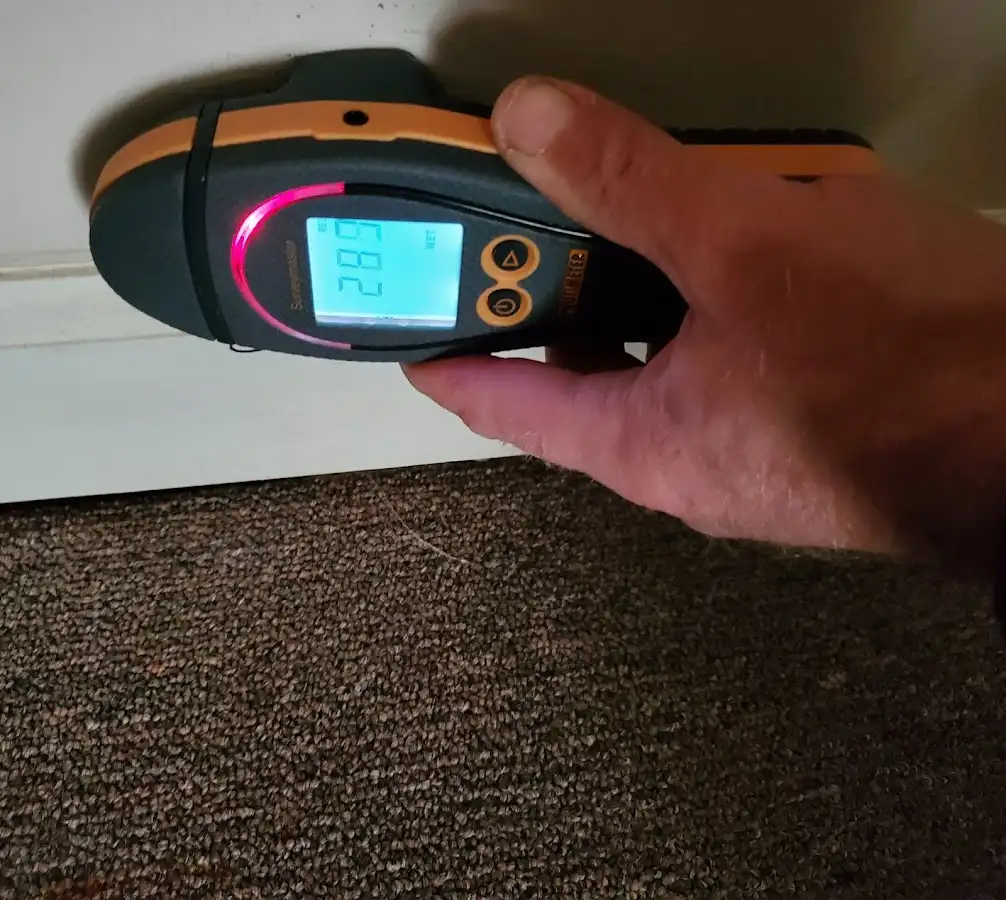 Moisture detection at baseboard during Mold Inspection & Testing in Marion